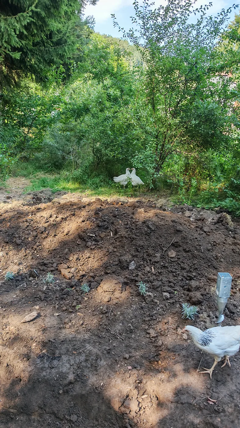 Building the Garden, One Stone at a Time