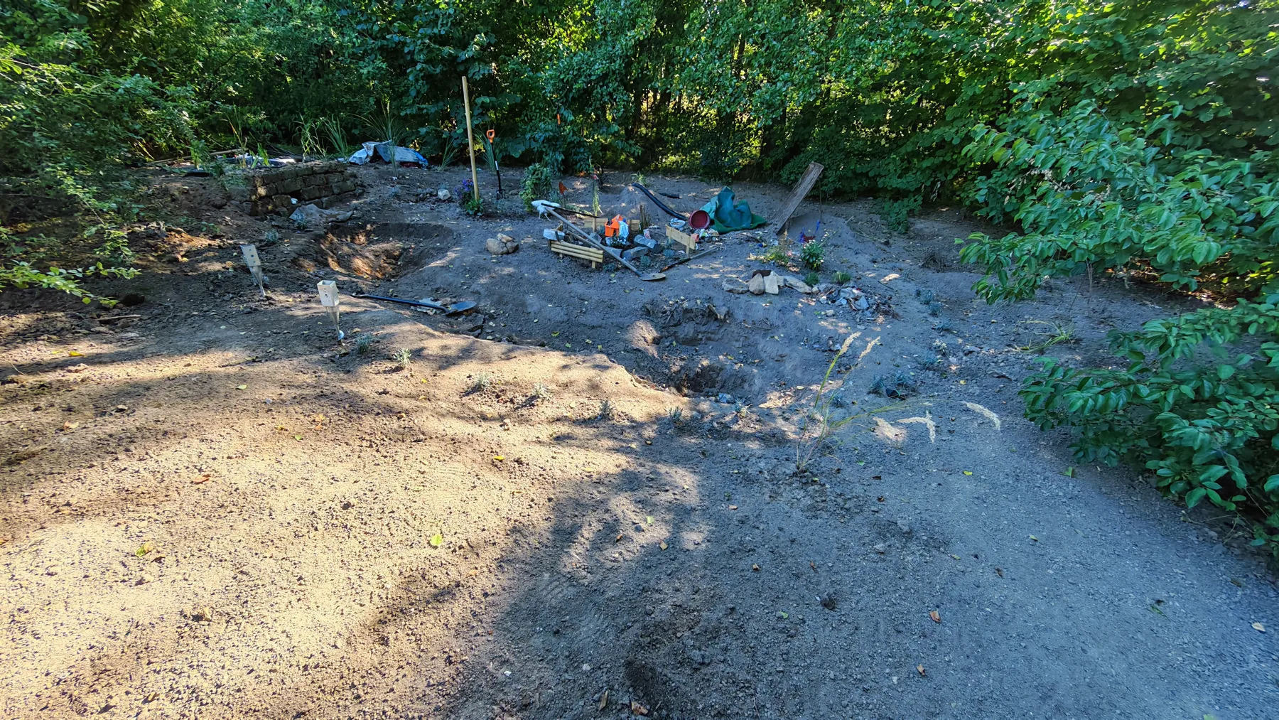A Day of Clearing and Building