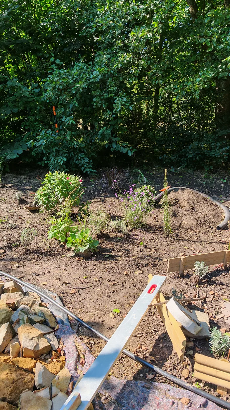 Late Summer in the Garden